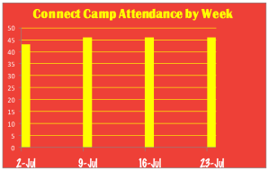 Connect Camp Daily Stats